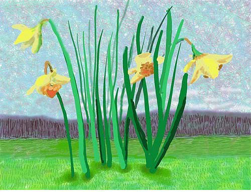 David Hockney painting of Daffodils