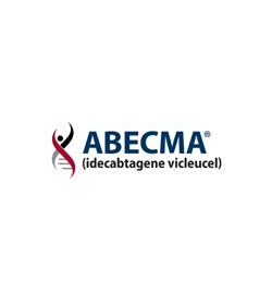 Abecma Tip Card cover