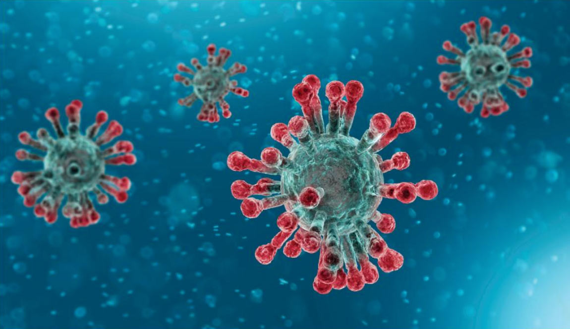 covid 19 virus cells