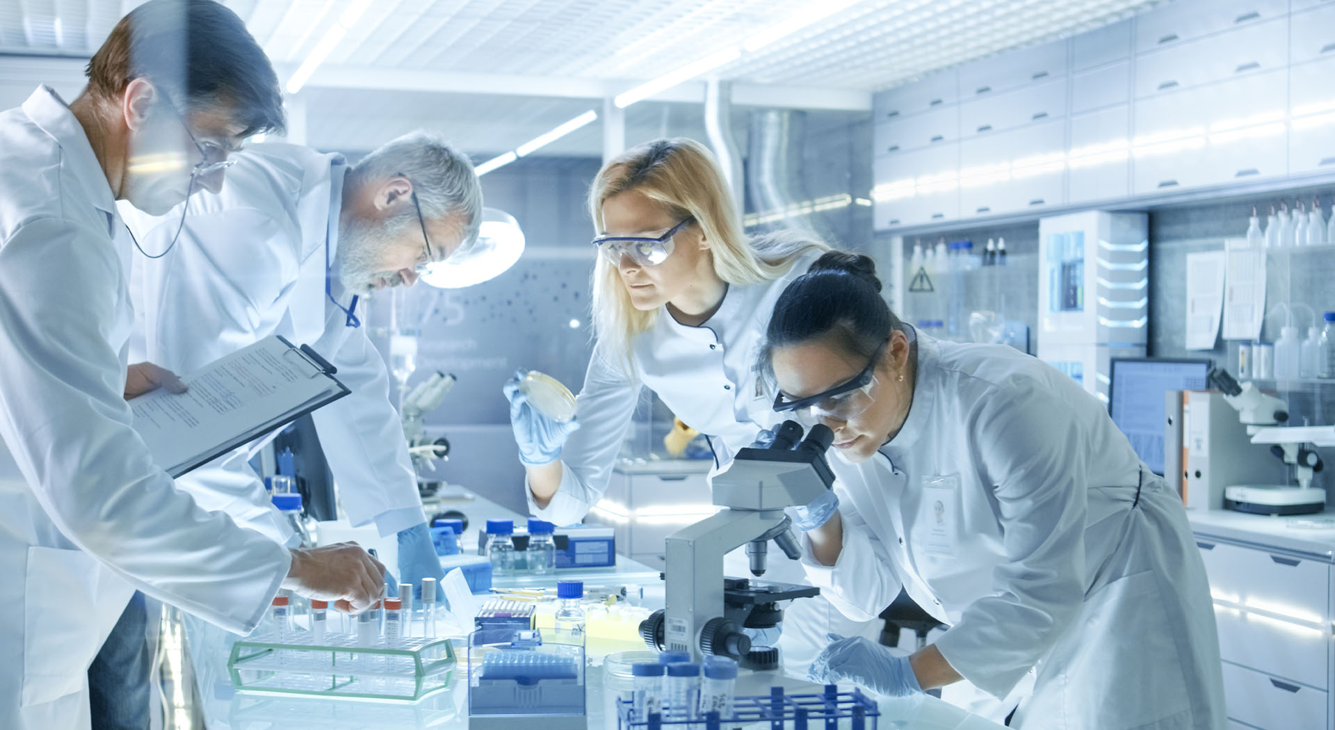 Team of Medical Research Scientists Work in a Lab