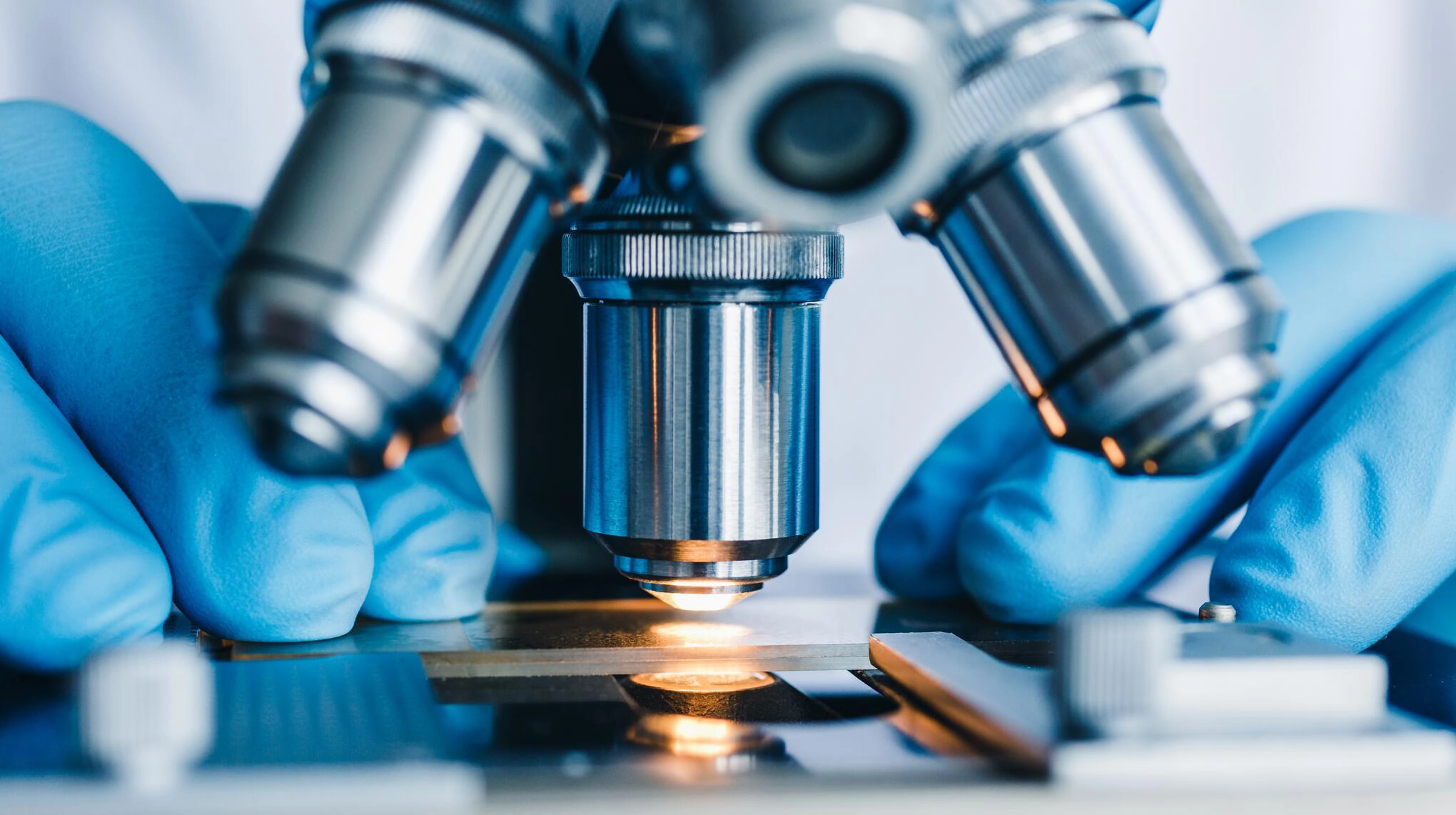 microscope examining film