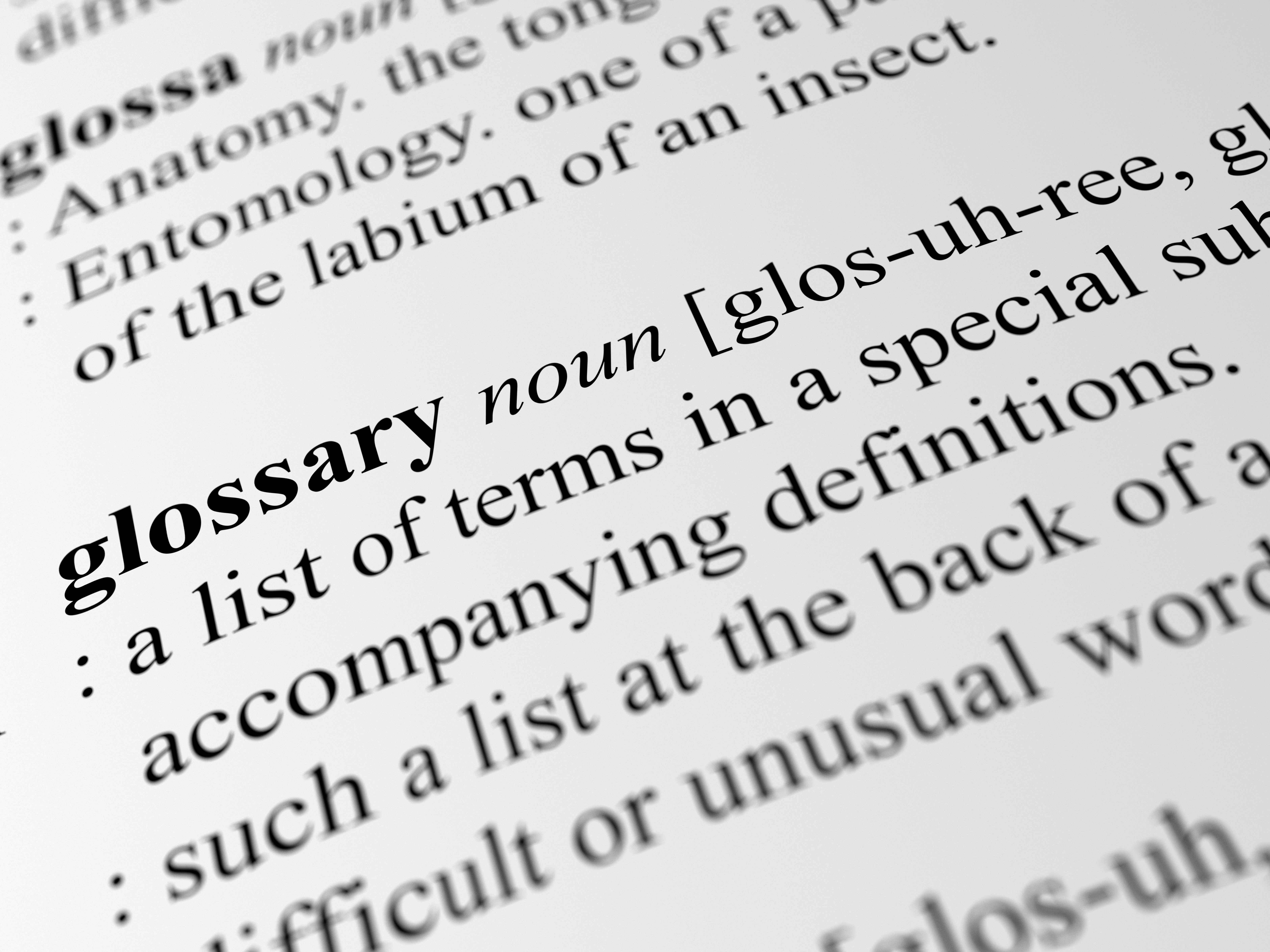 glossary
