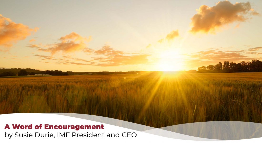 image of a sunrise over a field