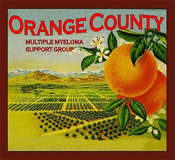 orange county logo