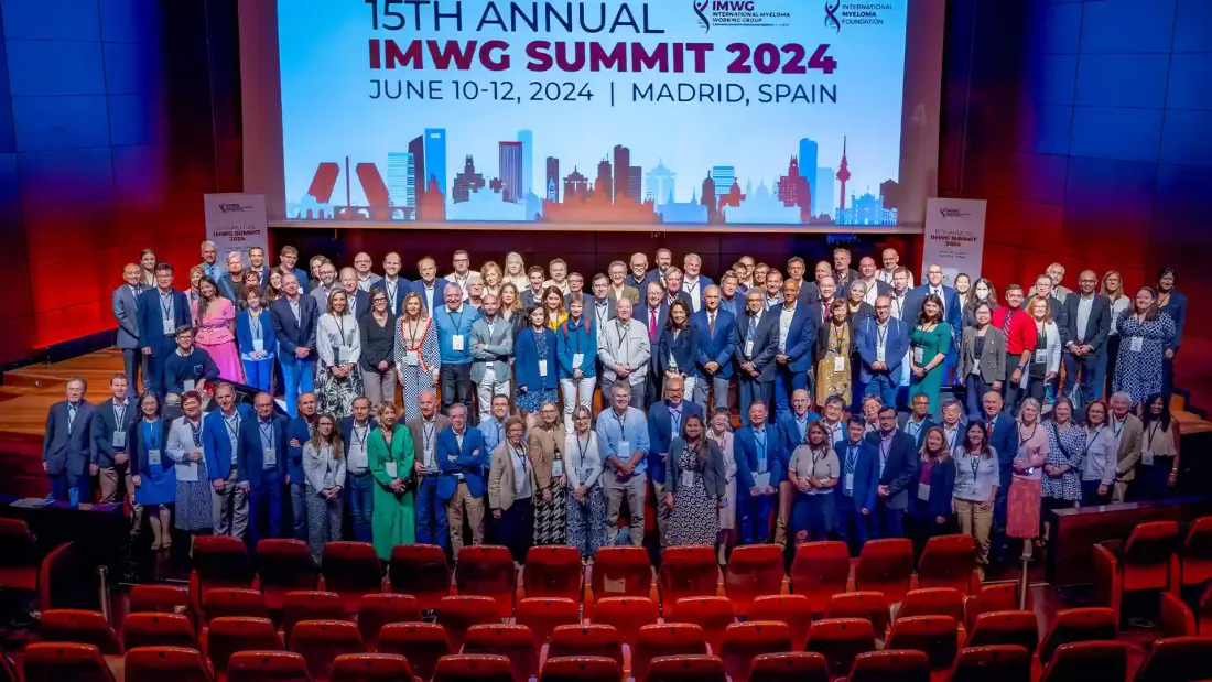 IMWG Summit 2024