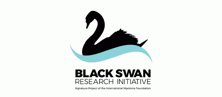 The IMF's Black Swan Research Initiative logo