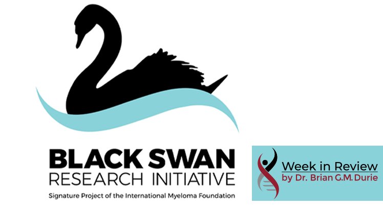 Black Swan Research Initiative logo