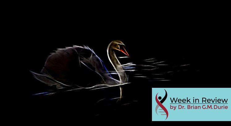 Creative photo filter creates this striking image of a dark swan on black water