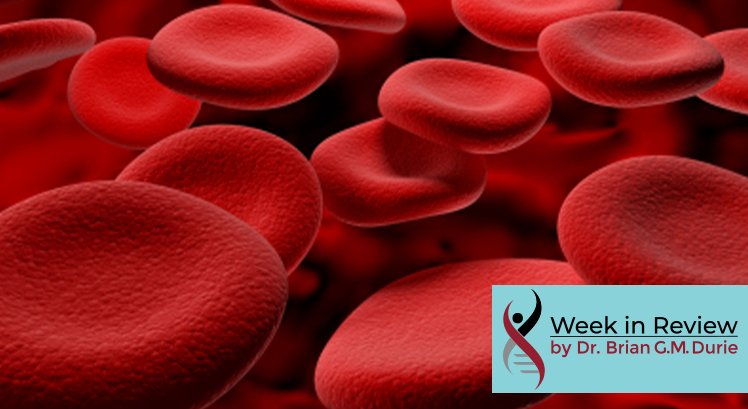 red blood cells