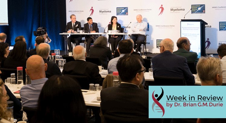 IMWG Plenary Session Audience