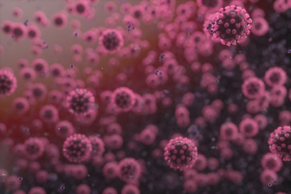 coronavirus under a microscope