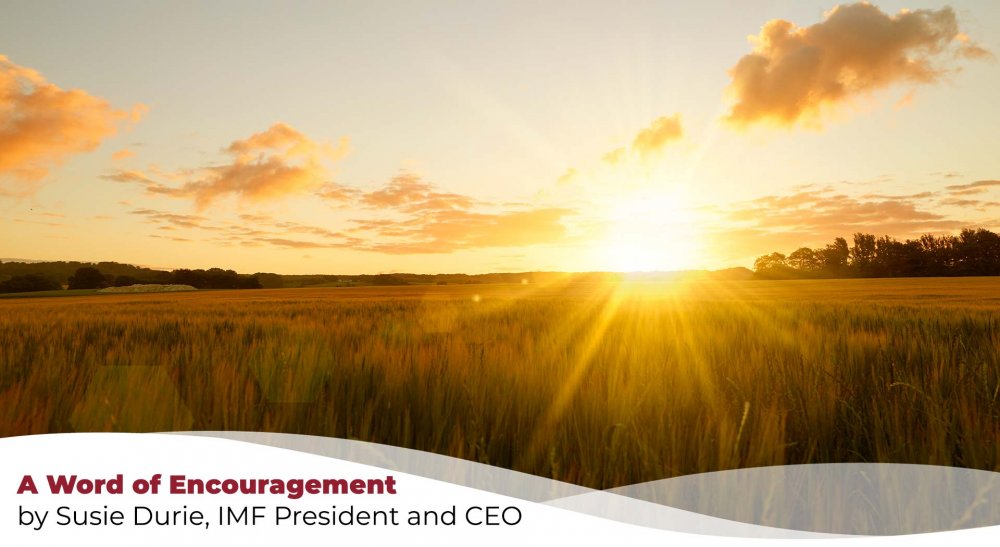 image of a sunrise over a field