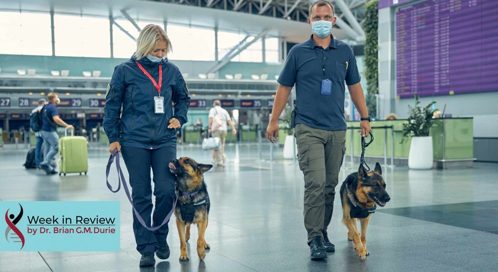 airport with security and covid screening dogs