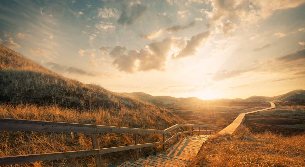 A winding path into the sunset.