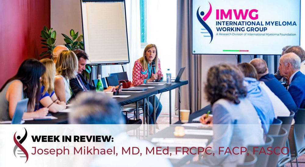 2025 IMWG Summit 