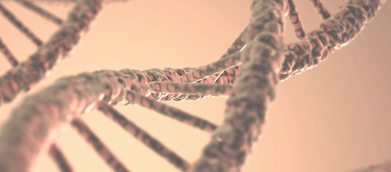DNA Structure graphic