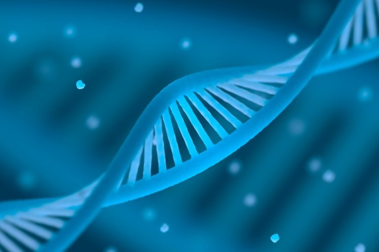 Depiction of a DNA Stand