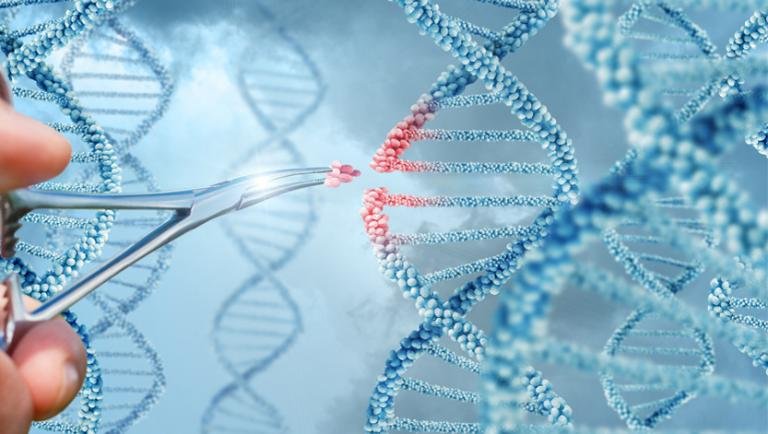 researcher manipulates an graphic of dna