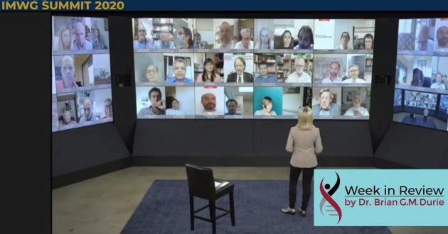 blog imwg 2020 summary