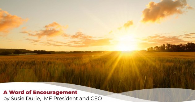 image of a sunrise over a field