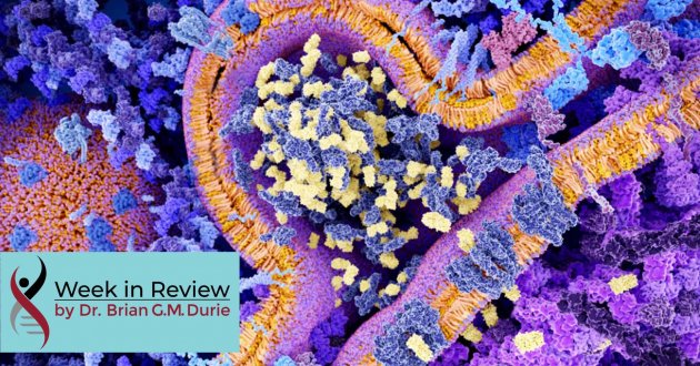 chimeric antigen receptor blog