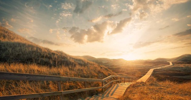 A winding path into the sunset.