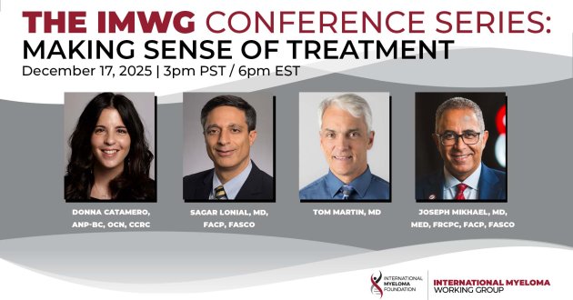 IMF IMWG Conference Series flyer