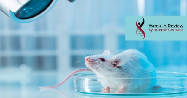 Blog image mice in a laboratory setting