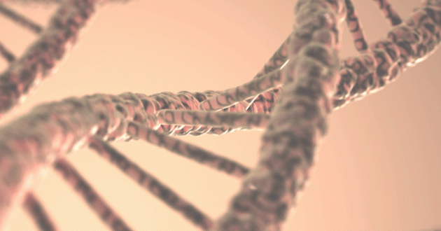 DNA Structure graphic