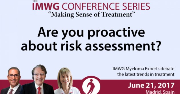 IMWG Summit Madrid 2017: Being Proactive About Risk Assessment