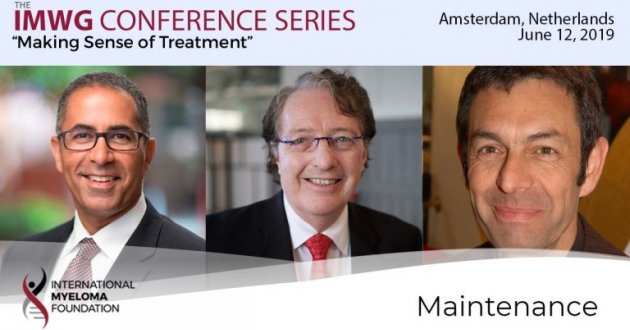 title card for IMWG conference series Amsterdam 2019 Maintenance