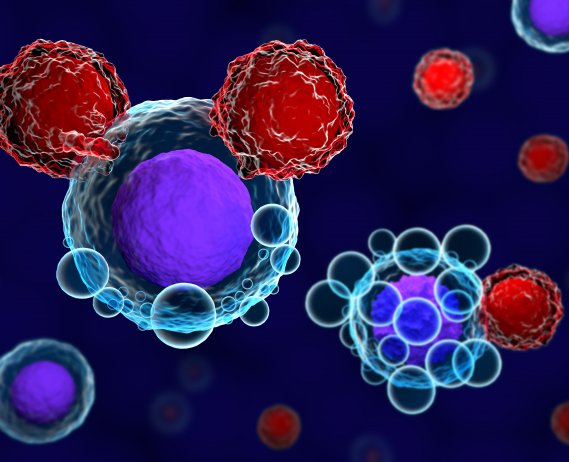 Graphic of a CAR T Cell 