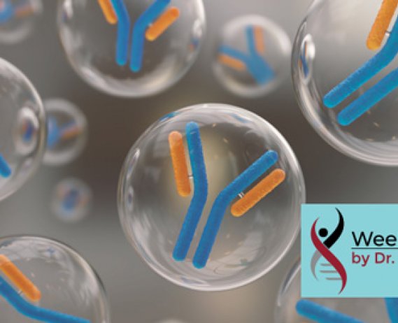 3D rendering of an antibody immunoglobulin molecule