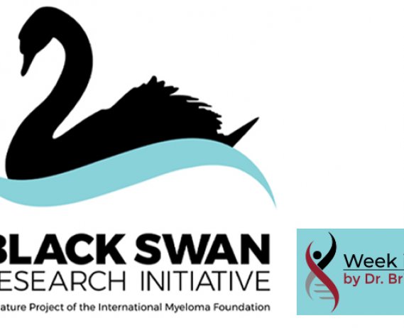 Black Swan Research Initiative logo