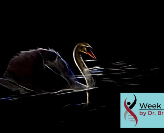 Creative photo filter creates this striking image of a dark swan on black water