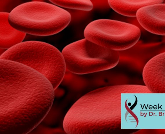 red blood cells