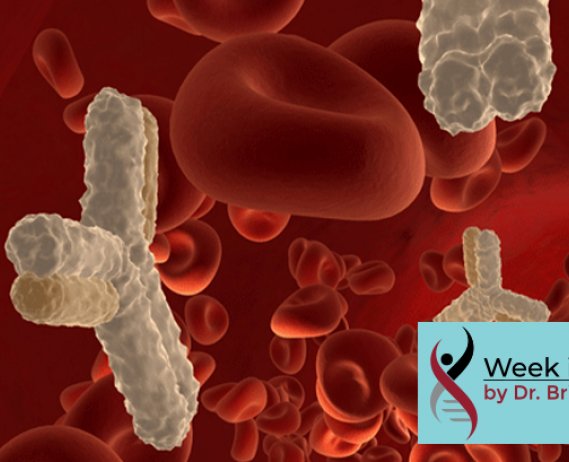 blood stream red bloods cells and antibodies - artist's depiction