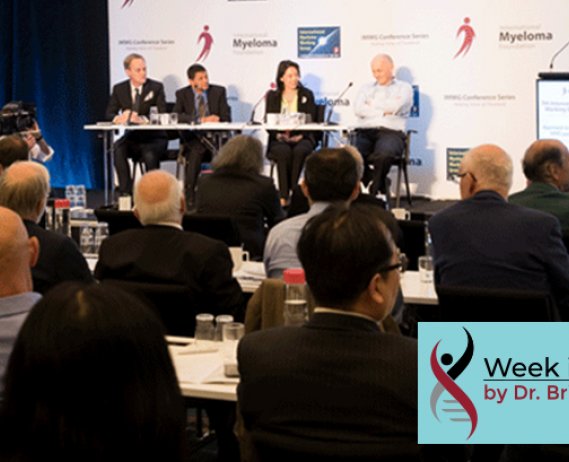 IMWG Plenary Session Audience