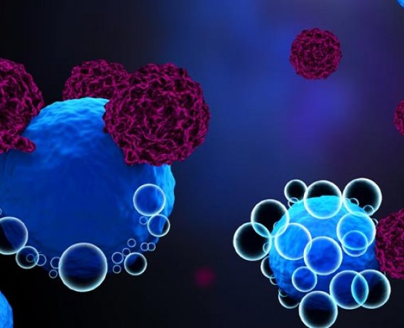 Depiction of CAR T-cell therapy binding to a myeloma cell
