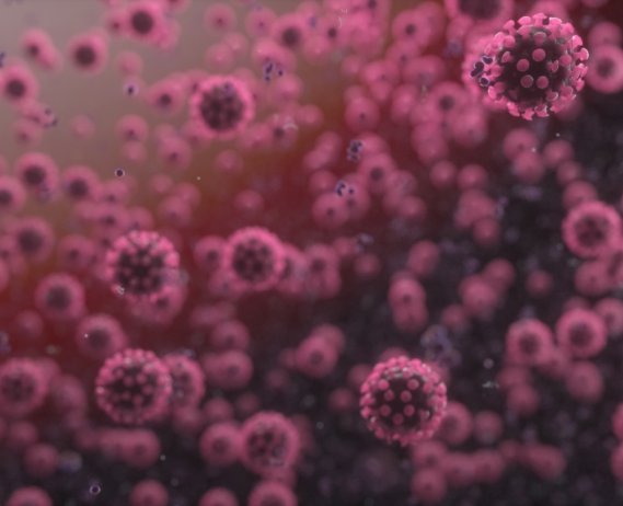 coronavirus under a microscope