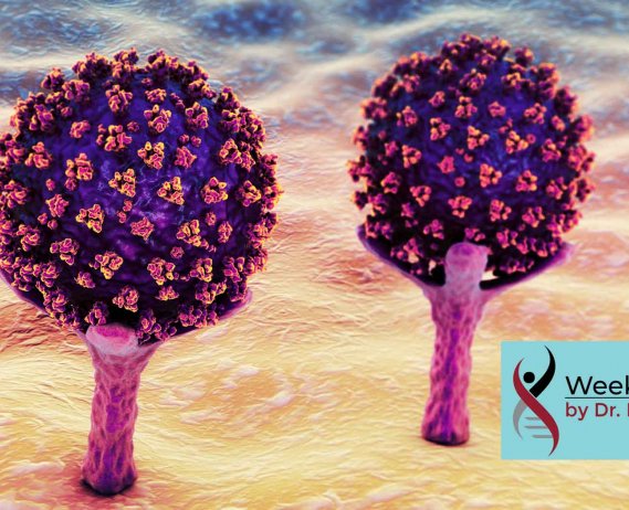covid 19 virus cells