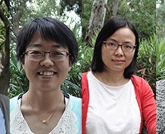 Participants of the 2015 Chinese Master Class