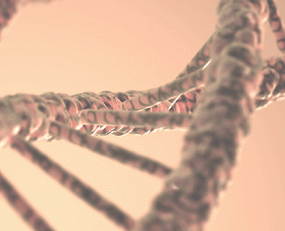 DNA Structure graphic
