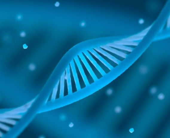 Depiction of a DNA Stand 