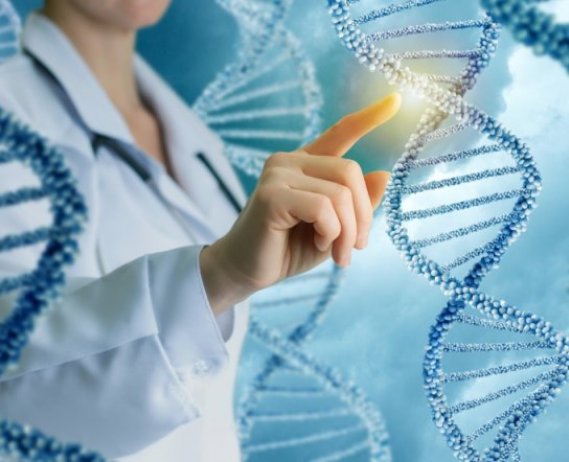 Lab researcher interacts with depiction of DNA