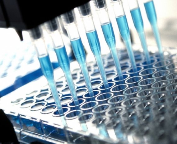 Test vials in a research lab setting