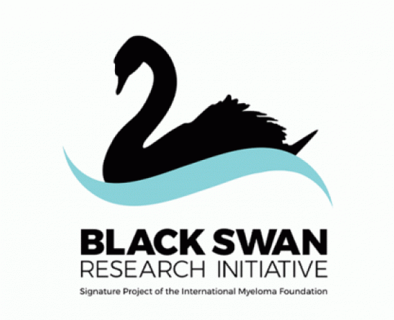The IMF's Black Swan Research Initiative logo