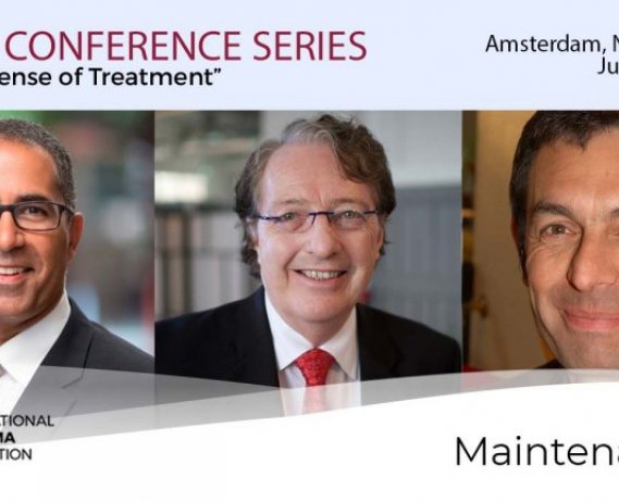 title card for IMWG conference series Amsterdam 2019 Maintenance
