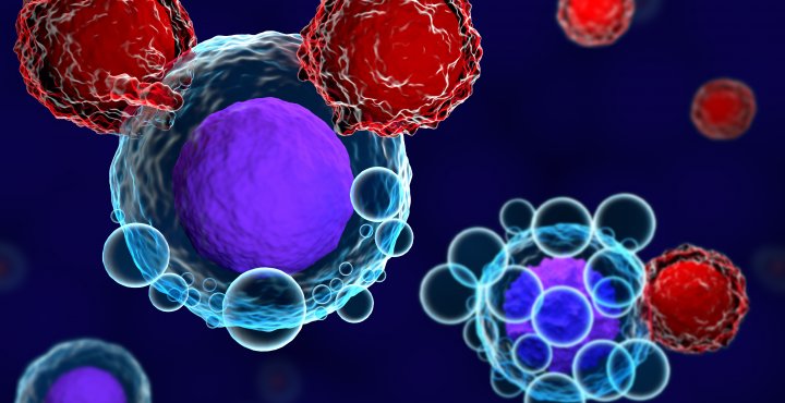 Graphic of a CAR T Cell