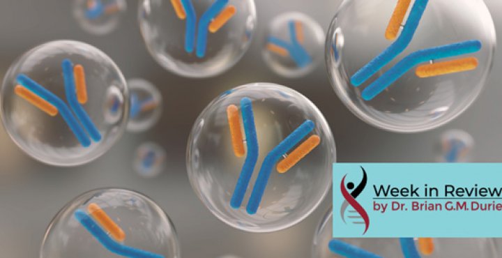 3D rendering of an antibody immunoglobulin molecule